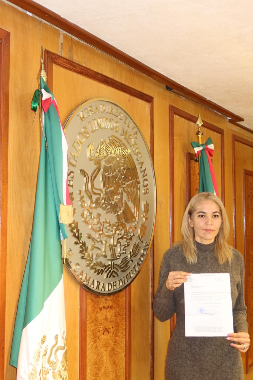 Rosa Alejandra Rodríguez en la Cámara de Diputados